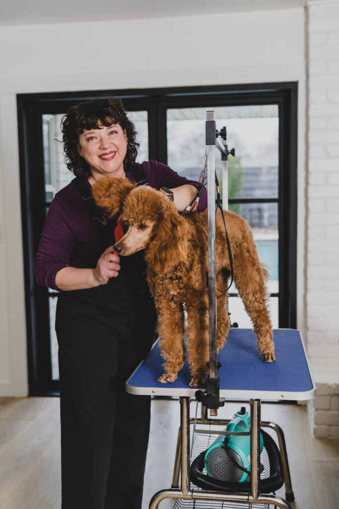 Desiree Peterson Grooming her AKC Standard Poodle
