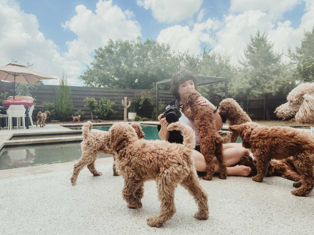 Dogs with Desiree