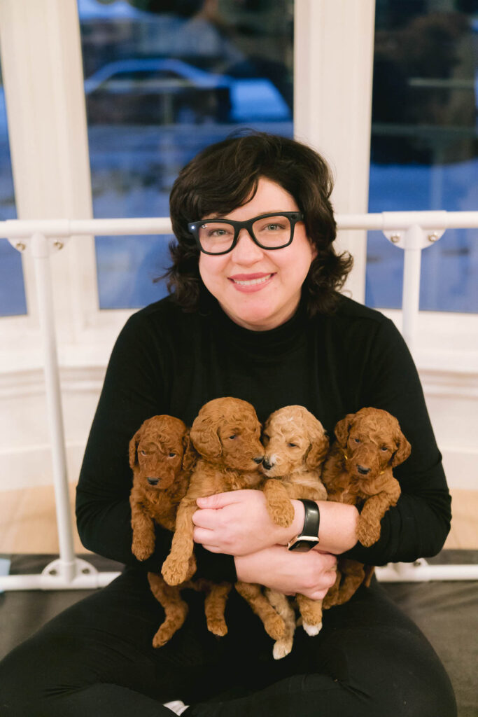 Temperament Testing by Peterson Poodles