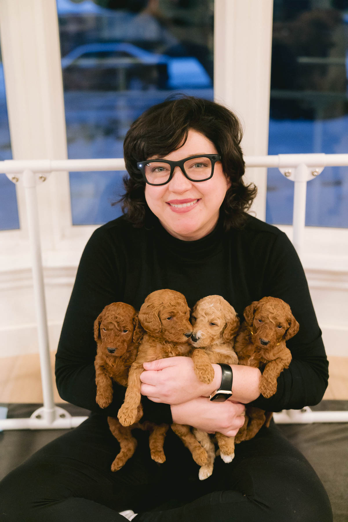Moyen by Peterson Poodles