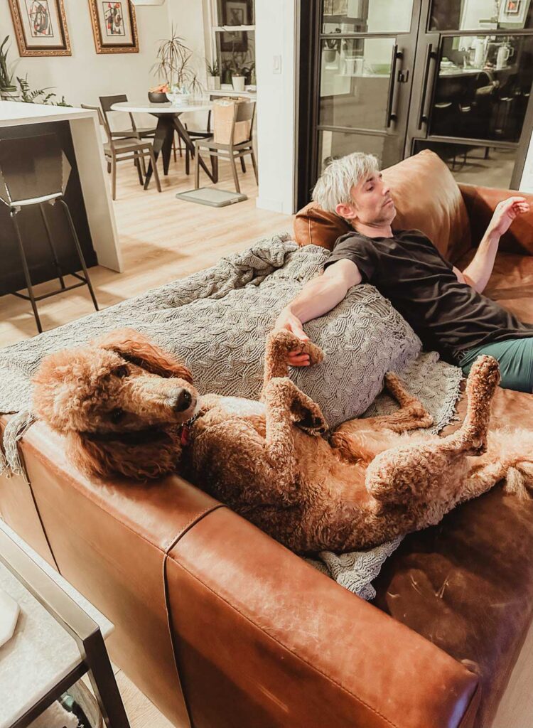 Poodle Dewclaws Intact